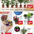 Antevisão Folheto LIDL Promoções de 17 a 23 maio